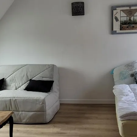 Lumineux Proche Du Centre-ville *